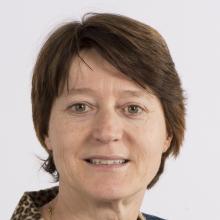 Foto van B.M. Snijders